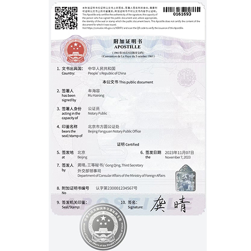 中国海牙如何办理